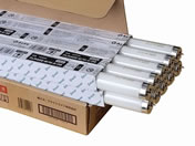 ALEG/ǌusbhX^[g40` F 10{1