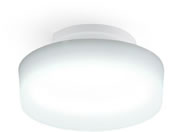 G)アイリスオーヤマ/小型シーリングライト 高効率 2000lm 昼光色