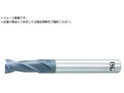 OSG/���d�G���h�~�� WXL 2�n 2.0D�n�� 3182100 WXL-2D-DE-10 3182100