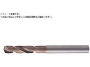 MOLDINO dR[eBOh dOHmXebv{[[ 03WHNSB0270-TH 03WHNSB0270-TH