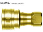 /SP-VJvTypeA 2S-V-A BRASS FKM