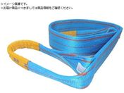 TESAC/�u���[�X�����O JIS4�����E���[�A�C�` �׏d4.0t