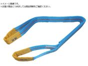 TESAC/ブルースリング JIS4等級・両端アイ形 荷重1.6t全長2.0m