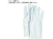 ӂ 550 iCWE L550-L
