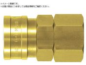 /^イnCJv jgSNBR SG BSBM600SF 00235 600SF BRASS NBR