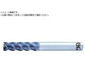 OSG/���d�h�U�^�G���h�~�� �����O�` �X�N�G�A�^�C�v AE-VML 8556322AE-VML 8X25 8556322