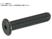 TRUSCO/ヘックスローブ超極低頭ねじ ステンレス 黒染 M2×10 10本入B185-0210