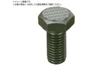 Fairlane/CTEObn[ AWXg^Ct CT-20250