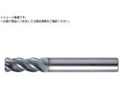 MOLDINO ���d���W�A�X�G���h�~�� �G�|�b�NSUS�}���` EPSM4100-R0.5-PN EPSM4100-R0.5-PN