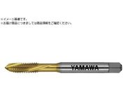 }/pʂ茊pXpC^bv F-SL P2 M6X1 F-SL-M6