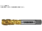 }/pXpC^bv F-SP P4 M14X2 F-SP-P4-M14X2