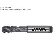 }/pX`[pXpC^bv HFIHS P4 M16X1.5 HFIHS-M16X1.5