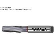 }/pX`[p[XpC^bv HFISP P4 M12X1.75 HFISP-M12X1.75