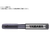 }/pA~ޗpʂ茊pdnh^bv HFACT-P P3 M12X1.25 HFACT-P-M12X1.25