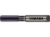 }/pSp~茊pdnh^bv HFICT-B P3 M10X1.25 HFICT-B-P3-M10X1.25