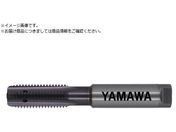 }/pSpʂ茊pdnh^bv HFICT-P P3 M8X1.25 HFICT-P-M8X1.25