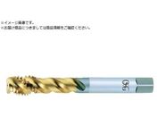 OSG/TiNR[eBOVNXpC^bv [g˂p M6 sb`1mm 20822 HS-SFT-STD-M6X1 20822