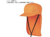 DIC/IZANO CAP2 h^Cv MLTCY IW O