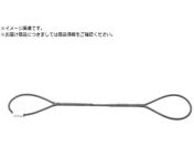 TAIYO/JIS玉掛ワイヤ 編込み O/O 9×4M 3291081 JTWR9X4