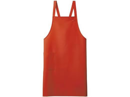 Zu Gv p Lbg SA001-44-F