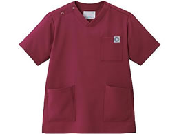 Zu XNu p  Cbh S MS005-72