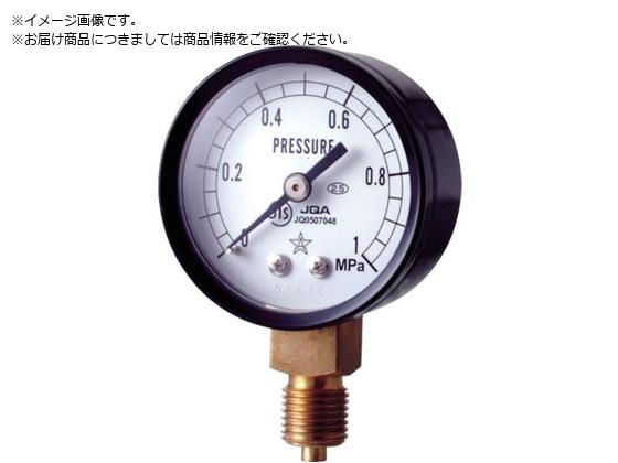 �E�� �X�^�[ ���͌v A�g���^�E��50 ���̓����W0.0�`1.00MPa S-11-1MP