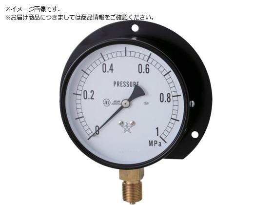 �E�� �X�^�[ ���͌v B�g���^�E��100 ���̓����W0.0�`6.00MPa S-42-6MP