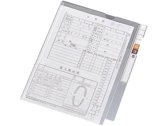 リヒトラブ カルテフォルダー フラップ付シングル縦型A4 100枚 HK2001