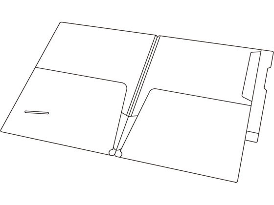 リヒトラブ カルテフォルダー フラップ付ダブル縦型A4 100枚 HK2002が