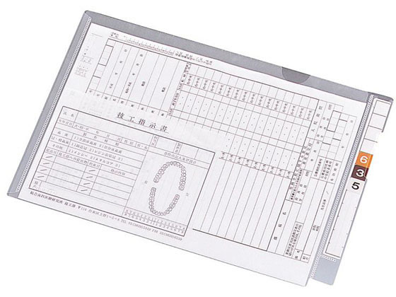 リヒトラブ カルテフォルダー フラップ付シングル横型A4 100枚 HK2003