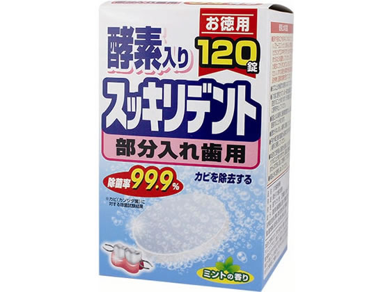 ライオンケミカル スッキリデント入れ歯洗浄剤 部分用120錠 49110010