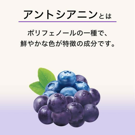 伊藤園 ブルーベリーぶどうmix 紙パック 200ml