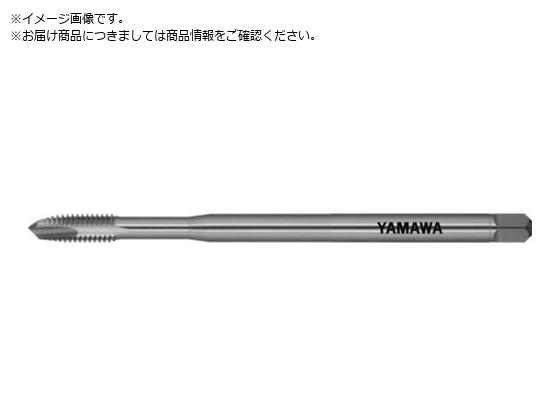 } O|Cg^bv LS-PO L120 P2 M6X1 LS-PO-F-P2-120-M6X1