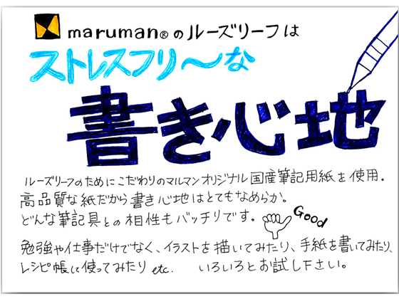 マルマン 書きやすいルーズリーフ B5 無地(下敷付)100枚 L1206Hが220円