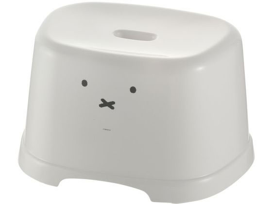 ���b�`�F�� �f�B�b�N�u���[�i ������ 21H �z���C�g