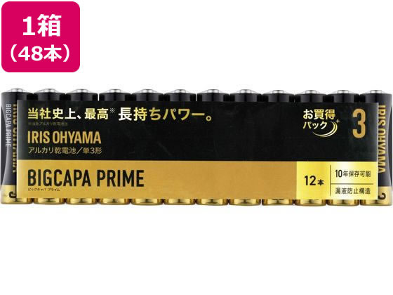 アイリスオーヤマ BIGCAPA PRIME アルカリ乾電池 単3形12本×4パック