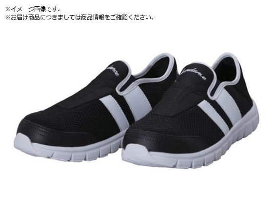T_X SL-250 yʈSXbvI ubN&zCg 27.0