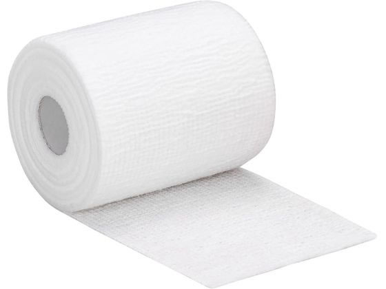 �A���P�A �f���A�v���X�E�e���V�����K�C�h ������� 25-7155-00 21381