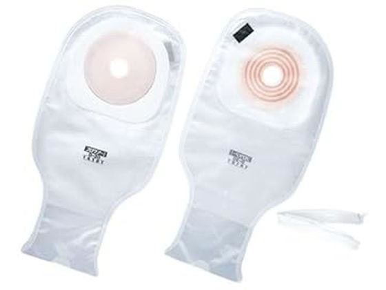 �A���P�A �v���P�A�[1�E�v���J�b�gD(20)�A���P�A 14181(10�}�C�C��)