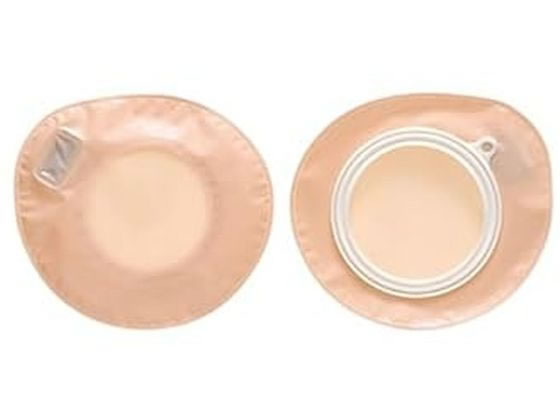 �A���P�A �v���P�A�[2�EM(40)�A���P�A 12171(10�}�C�C��)