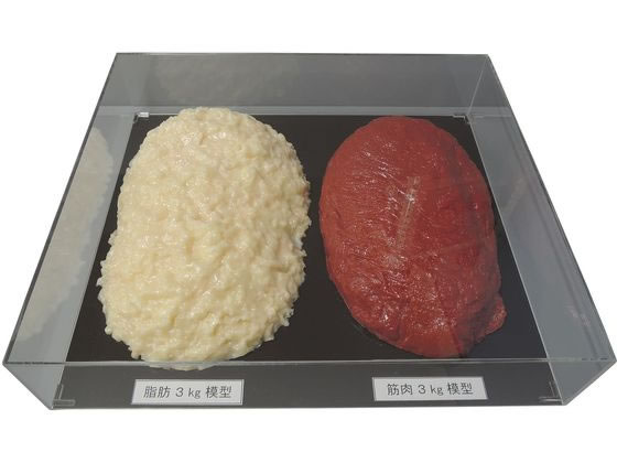 �C���C�T���v�� �ؓ��Δ�Z�b�g 3Kg SKT-030