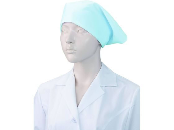 KAZEN WLD �O�p�z O-157�Ή� �T�b�N�X 10���~10�� 477-91