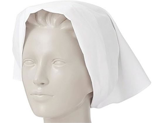 KAZEN WLD �O�p�z L �z���C�g 10���~10�� 477-39