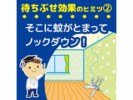 金鳥 蚊がいなくなるスプレー 0日 無香料 2本パックが1 9円 ココデカウ