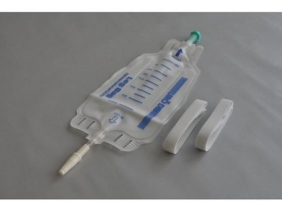 �f�B���C���^�[�i�V���i�� ���b�O�o�b�O500mL(DIB�L���b�v���C�g)3�Z�b�g�� 400303 64-4011-09