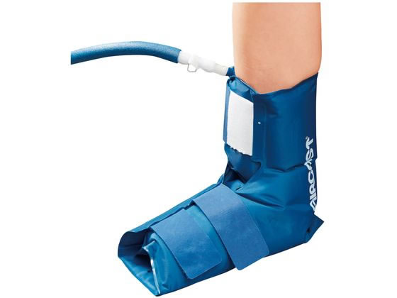 �V�O�}�b�N�X �N���C�I�J�t �A���N���J�t �A���N���J�t�A�t���[ ��p�Ö@�p�i 25-4919-02 259110(�t���[)