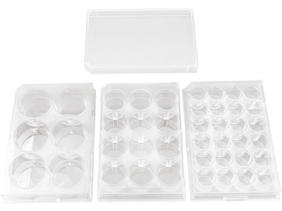 �X�e�� �������E���V���|�{�v���[�g(6��)6�� �}�C�N���v���[�g 25-6141-00 P06F01S(60�}�C)