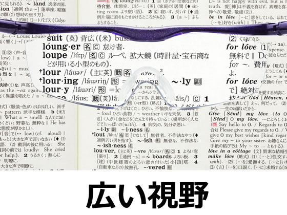 Hazuki ハズキルーペ ラージ カラーレンズ1.85倍 紫が11,183円