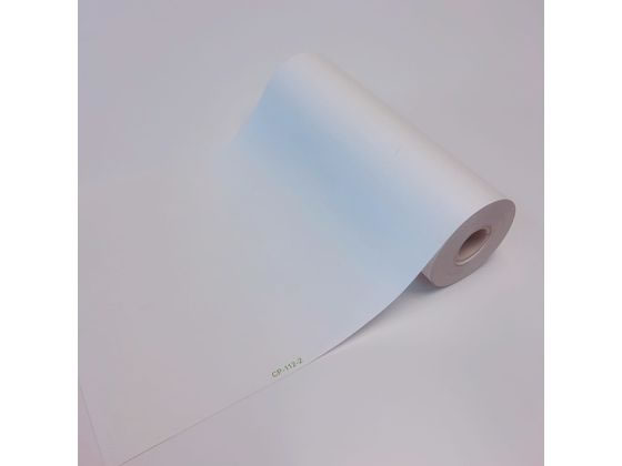 ���΂� �ėp�L�^��(�X�p�C��)25-5984-04 CP-112-2(20�J��)