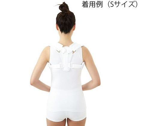 Dr.MED �N���r�N���X�v�����g Dr.MED 30�`35cm 7-1372-01